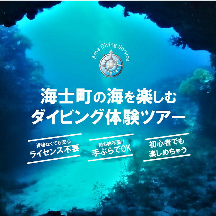 【ふるさと納税】海士町ダイビング体験（ボートダイビング）