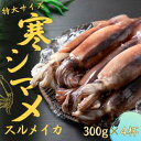 【ふるさと納税】【朝どれ寒シマメ特大サイズ 丸ごと4杯セット】300g×4杯 いか イカ スルメイカ 朝どれ寒シマメ
