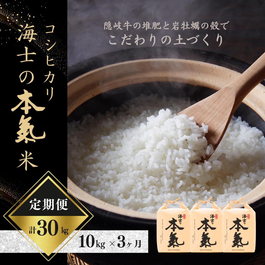 [令和5年度産!本氣米5kg×3か月定期便]計15kg! ブランド米 お米 精米 白米 弁当 ごはん ご飯 おにぎり 母の日 父の日 バーベキュー ギフト 定期便