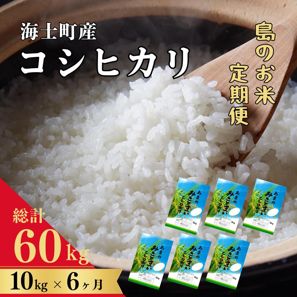 【令和5年度産！定期便6ヵ月】計60kg！コシヒカリ 10kg×6か月定期便 お米 精米 白米 弁当 ごはん ご飯 こしひかり 年末年始 お正月 お歳暮 御歳暮 ギフト 定期便