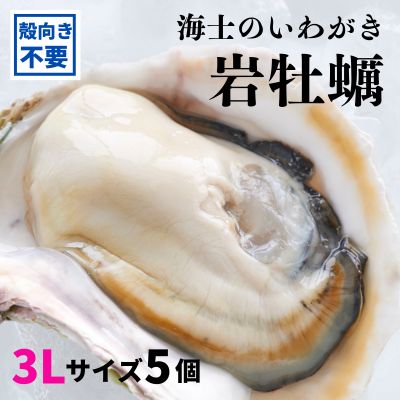 20位! 口コミ数「0件」評価「0」【海士のいわがき 殻なし 3Lサイズ 5個】 岩牡蠣 生食可 冷凍 牡蛎 牡蠣 かき カキ 岩牡蠣 いわがき冷凍 父の日 母の日 バーベキュ･･･ 