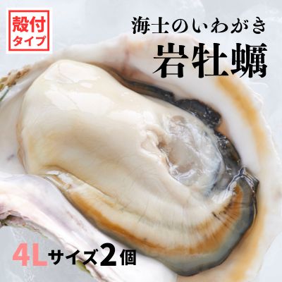 【ふるさと納税】【いわがき 殻付き4Lサイズ 2個】海士のい