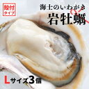 【ふるさと納税】【のし付き いわがき 殻付きLサイズ 3個】海士のいわがき 岩牡蠣 生食可 冷凍 牡蛎 牡蠣 かき カキ 岩牡蠣 いわがき 冷凍 お歳暮