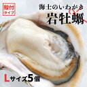 【ふるさと納税】【のし付き いわがき 殻付きLサイズ 5個】海士のいわがき岩牡蠣 生食可 冷凍 牡蛎 牡蠣 かき カキ 岩牡蠣 いわがき 冷凍 お歳暮