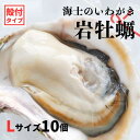 【ふるさと納税】【のし付き いわがき 殻付きLサイズ 10個】海士のいわがき 岩牡蠣 生食可 冷凍 牡蛎 牡蠣 かき カキ 岩牡蠣 いわがき 冷凍 お歳暮
