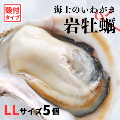 6位! 口コミ数「1件」評価「4」【のし付き 岩牡蠣 殻付き LLサイズ 5個】海士のいわがき 岩牡蠣 生食可 冷凍 牡蛎 牡蠣 かき カキ 岩牡蠣 いわがき 冷凍 父の日 ･･･ 