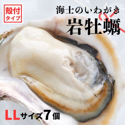 【ふるさと納税】【のし付き いわがき 殻付きLLサイズ 7個】海士のいわがき 岩牡蠣 生食可 冷凍 牡蛎 ...