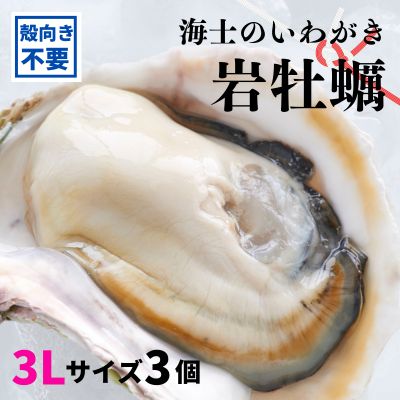 【ふるさと納税】【のし付き いわがき 殻なし 3Lサイズ 5