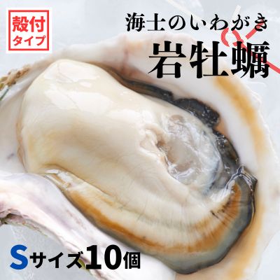 23位! 口コミ数「0件」評価「0」【のし付き いわがき 殻付きSサイズ 10個】海士のいわがき 岩牡蠣 生食可 冷凍 牡蛎 牡蠣 かき カキ 岩牡蠣 いわがき 冷凍 父の日 ･･･ 