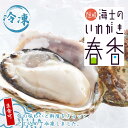 【ふるさと納税】【いわがき春香 殻付きSサイズ 5個】岩牡蠣 生食可 冷凍 牡蛎 牡蠣 かき カキ 岩牡蠣 いわがき 冷凍 お歳暮