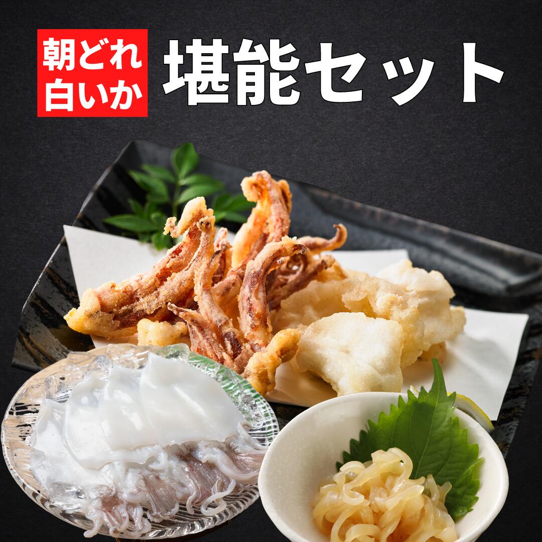 4位! 口コミ数「1件」評価「5」高級 朝どれ 白いか 堪能セット 干物 揚げ物 醤油漬け 冷凍 小分け CAS CAS冷凍