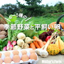 【ふるさと納税】【季節野菜・平飼い卵セット】季節野菜4〜5種 平飼い卵10個 セット 農薬不使用だから安心安全! お歳暮