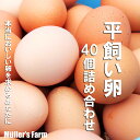 【ふるさと納税】平飼い卵詰め合わせ！40個セット 御中元 お中元 残暑見舞い