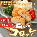 【ふるさと納税】白いか コロッケ 1.2kg オリジナルベシ