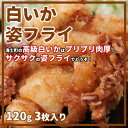 【ふるさと納税】白いか 姿フライ 3枚 120g×3枚 イカフライ 小分け 冷凍 簡単 CAS CAS冷凍