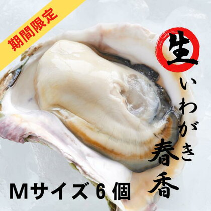 【生のいわがき春香 Mサイズ6個】期間限定 先行予約 岩牡蠣 生牡蠣 牡蠣 生食可 旬の時期だけ 母の日 父の日 バーベキュー ギフト ※順次発送