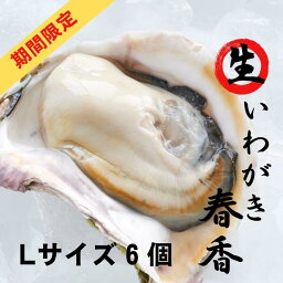 【ふるさと納税】【生のいわがき春香 Lサイズ6個】期間限定 先行予約 岩牡蠣 生牡蠣 牡蠣 生食可 旬の時期だけ 母の日 父の日 バーベキュー ギフト ※順次発送