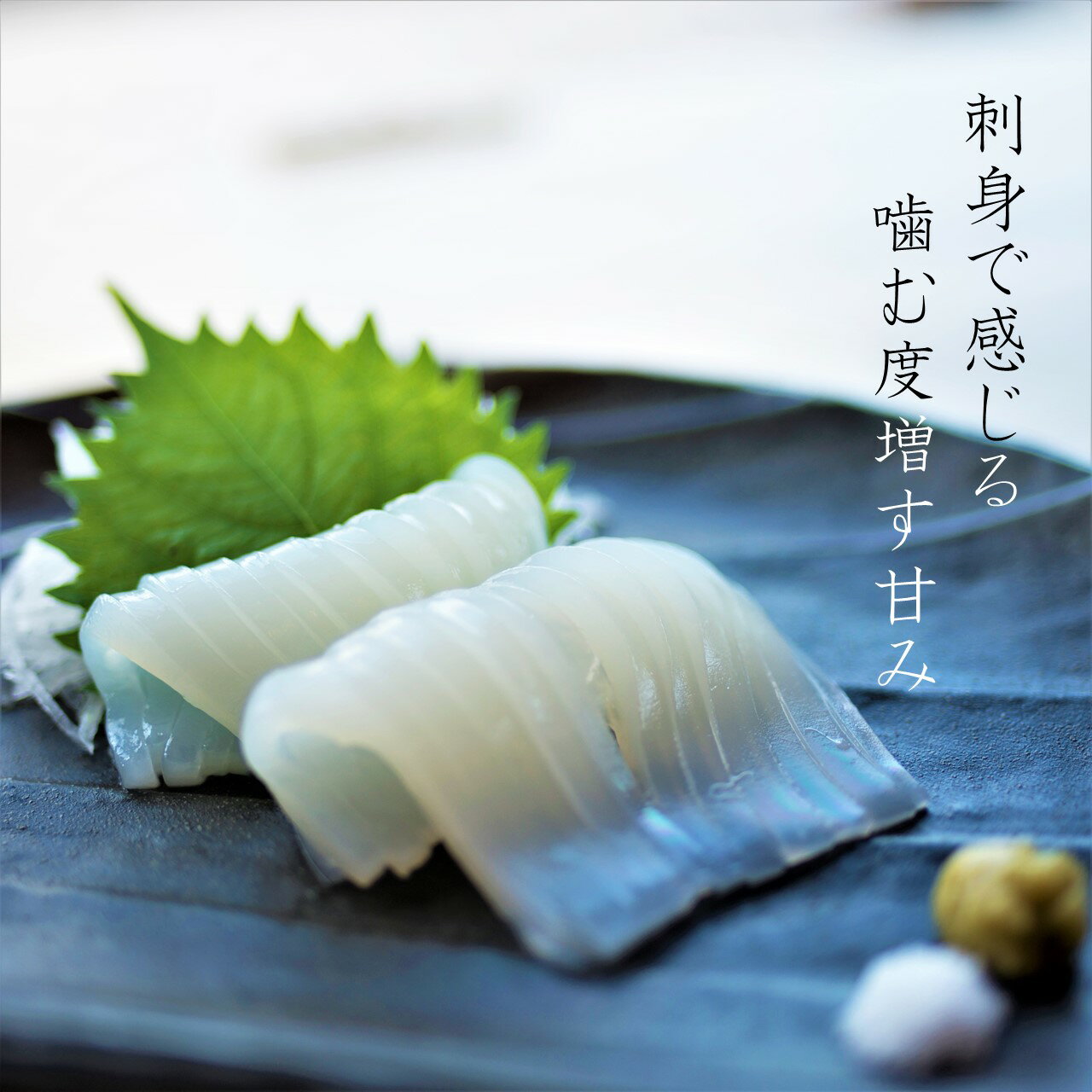特に美味しい冬の時期にとれた新鮮な寒シマメを鮮度そのまま 丸ごとお届け ふるさと納税 旨味たっぷり 旬 寒シマメ スルメイカ 丸ごと5本 1kg 1 25kg 個包装 小分け 冷凍 刺身