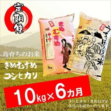 【ふるさと納税】お米 定期便 コシヒカリ きぬむすめ 10kg×6か月 計 60kg 令和2年度産 2020年産