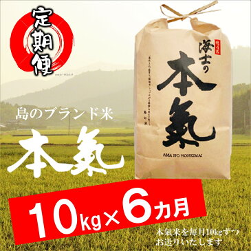 【ふるさと納税】お米 定期便 本氣米 10kg×6か月 計 60kg 令和2年度産 2020年産コシヒカリ