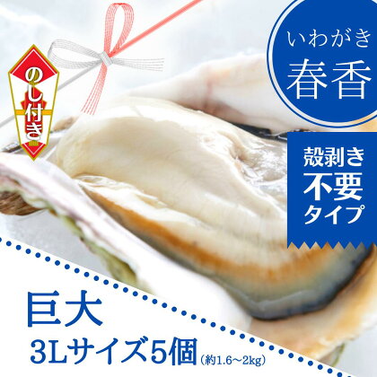 【のし付き いわがき 殻付き3Lサイズ 5個】ブランドいわがき春香 岩牡蠣 生食可 冷凍 牡蛎 牡蠣 かき カキ 岩牡蠣 いわがき 冷凍 父の日 母の日 バーベキュー ギフト