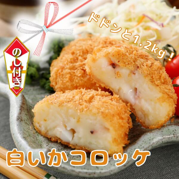 【ふるさと納税】のし付き 白いか コロッケ 1.2kg オリジナルベシャメルソース 冷凍 簡単 CAS CAS冷凍 お歳暮