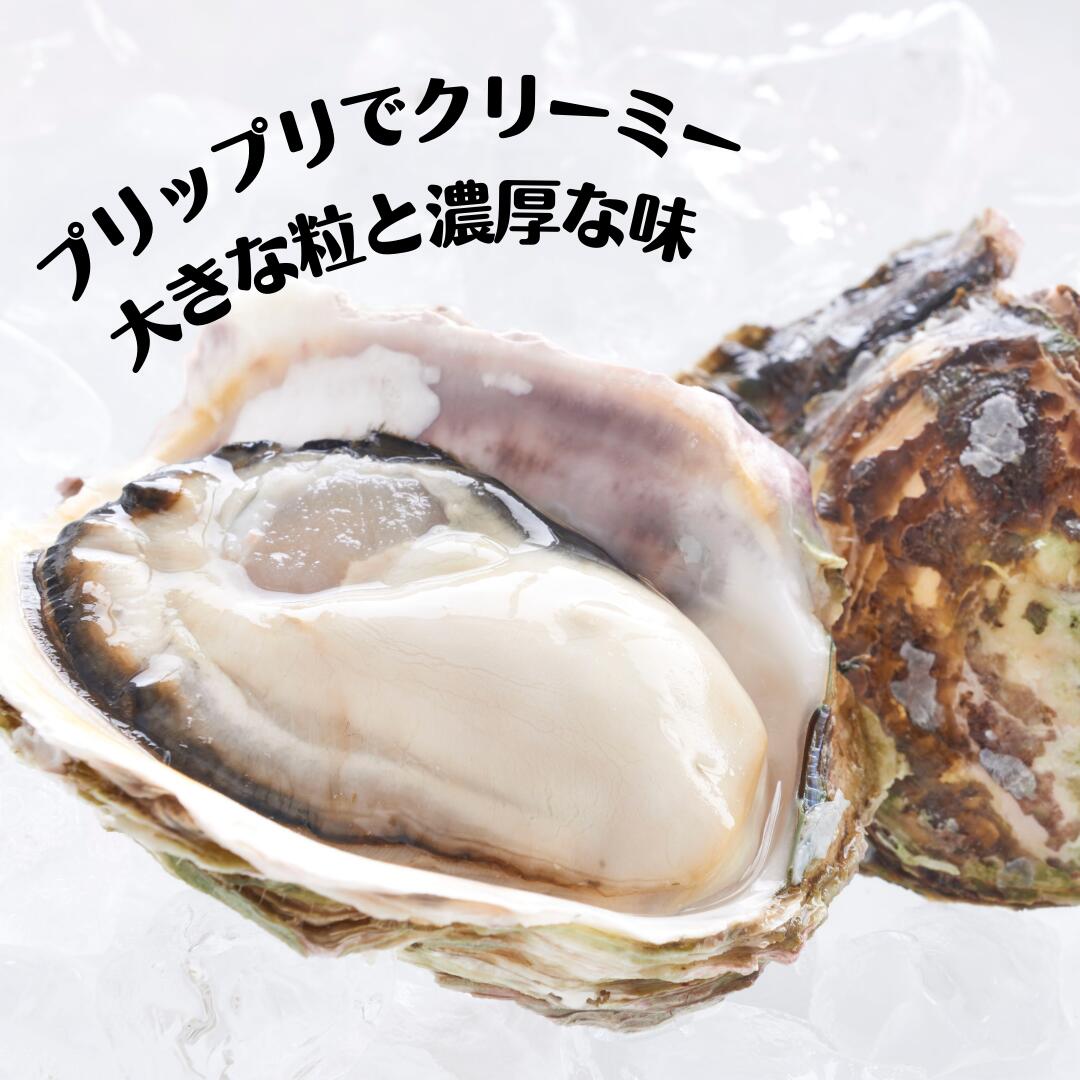 【ふるさと納税】【ブランドいわがき春香】殻なし Sサイズ 7個 岩牡蠣 生食可 新鮮クリーミー 冷凍 牡蛎 牡蠣 かき カキ 岩牡蠣 いわがき CAS CAS冷凍 年末年始 鍋 お正月 お歳暮 御歳暮 ギフト