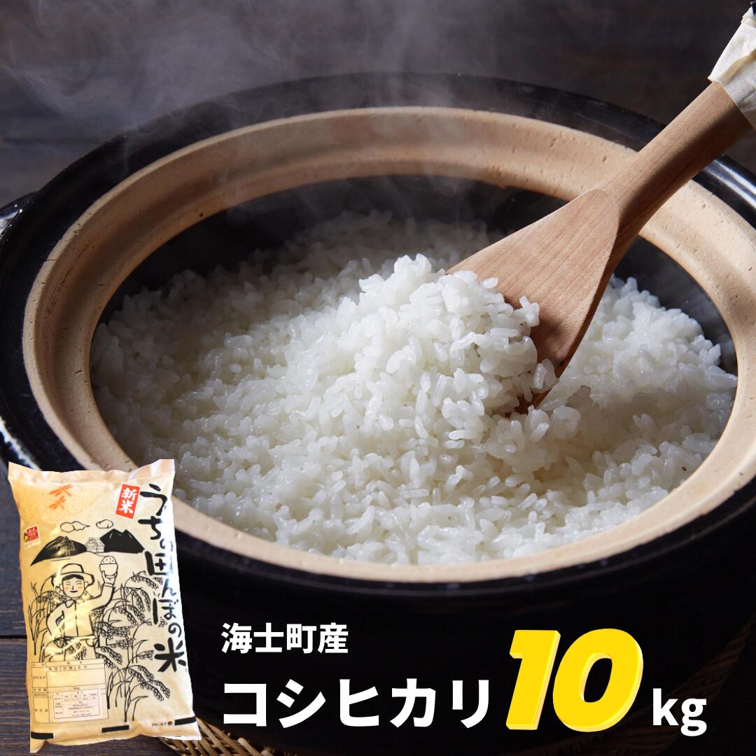 お買い得モデル LL-2やちよのお米セット コシヒカリ ミルキークイーン合計10kg fucoa.cl お買い得モデル LL-2やちよのお米セット コシヒカリ ミルキークイーン合計10kg fucoa.cl