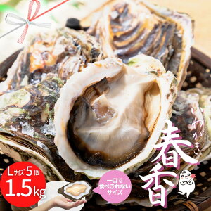 【ふるさと納税】のし付き いわがき春香 フルシェル Lサイズ5個 生食 牡蠣 1.5kg～2kg