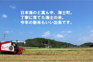 【ふるさと納税】お米 定期便 本氣米 10kg×6か月 計 60kg 令和2年度産 2020年産コシヒカリ
