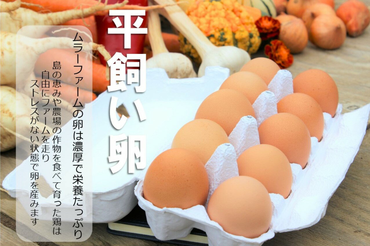 【ふるさと納税】【季節野菜・平飼い卵セット】季節野菜7〜8種 平飼い卵10個 セット 農薬不使用だから安心安全！ 母の日 父の日 バーベキュー ギフト