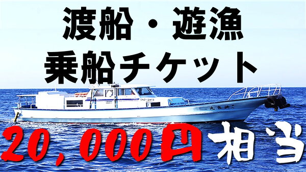 【ふるさと納税】渡船・遊漁 乗船チケット 20000円相当