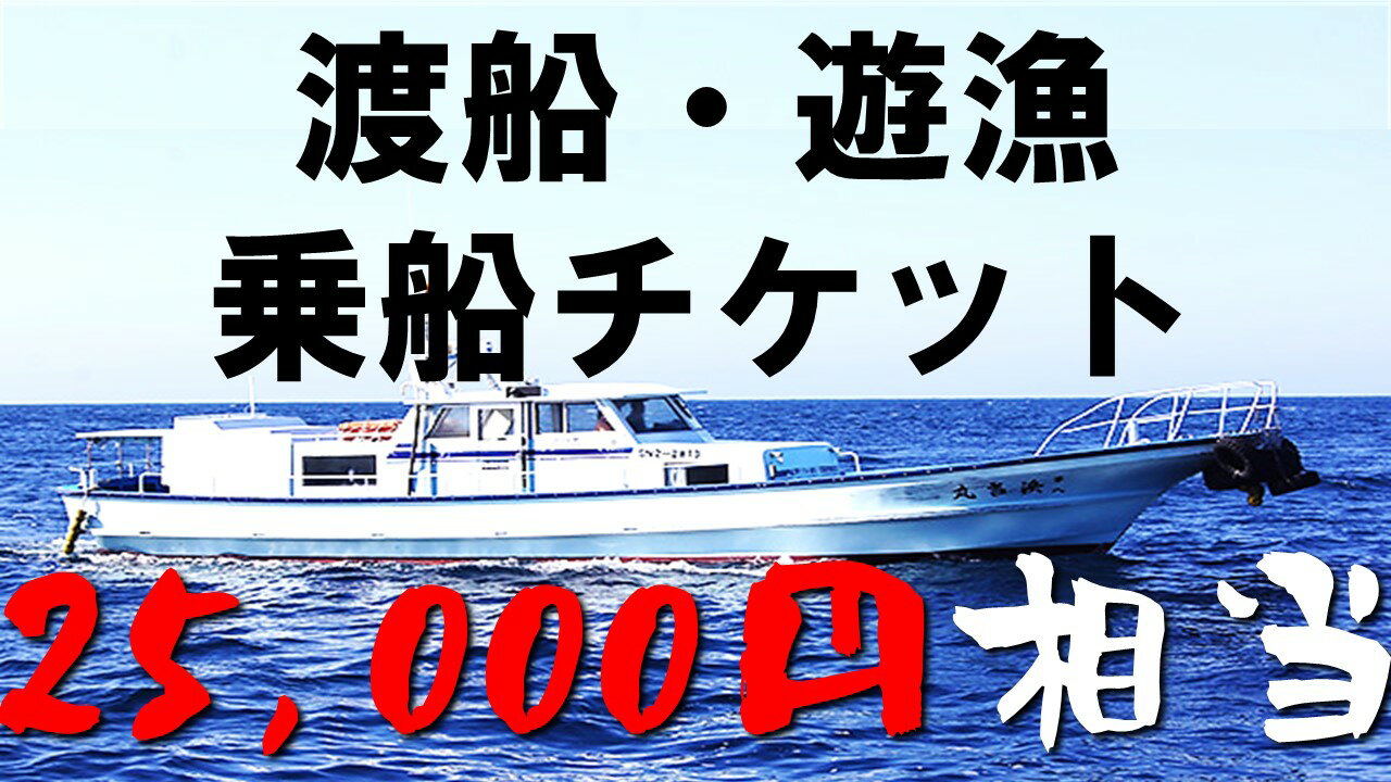 渡船・遊漁 乗船チケット 25000円相当