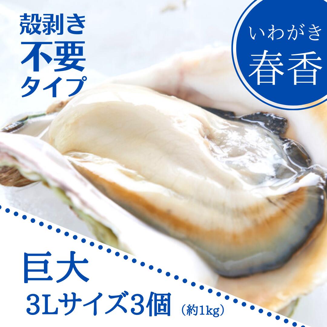 【ふるさと納税】岩牡蠣 いわがき 春香 牡蠣 殻なしタイプ 巨大 3Lサイズ×3個（960g～1.2kg）殻剥き不要 牡蛎 かき カキ CAS CAS冷凍 生食 御中元 お中元 残暑見舞い