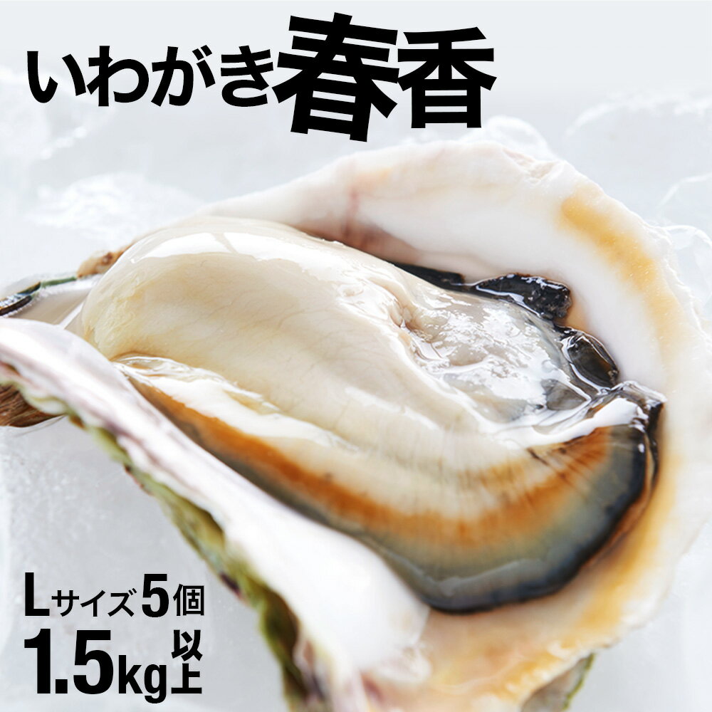 ふるさと納税牡蠣 ふるさと納税牡かき ふるさと納税カキ プレゼント 岩牡蠣 いわがき 牡蠣 希少 高品質 安心 安全 大容量 身の詰まった Lサイズ 1.5kg~2kg ブランド 濃厚 生食 春香 保障 5個 ブランド牡蠣 日本で初めての養殖牡蠣 海士町産 殻付き ふるさと納税牡蠣 ふるさと納税牡かき ふるさと納税カキ プレゼント 岩牡蠣 いわがき 牡蠣 希少 高品質 安心 安全 大容量 身の詰まった Lサイズ 1.5kg~2kg ブランド 濃厚 生食 春香 保障 5個 ブランド牡蠣 日本で初めての養殖牡蠣 海士町産 殻付き