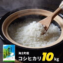 【ふるさと納税】【令和5年度産 海士町産コシヒカリ10kg】島の新米コシヒカリをお届け！ お米 精米 白米 弁当 ごはん ご飯 こしひかり 母の日 父の日 バーベキュー ギフト