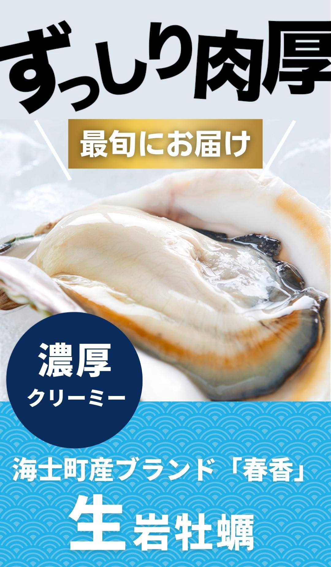 【ふるさと納税】期間限定 先行予約 岩牡蠣 生牡蠣 牡蠣 いわがき春香 Mサイズ6個 生食可 旬の時期だけ ※順次発送