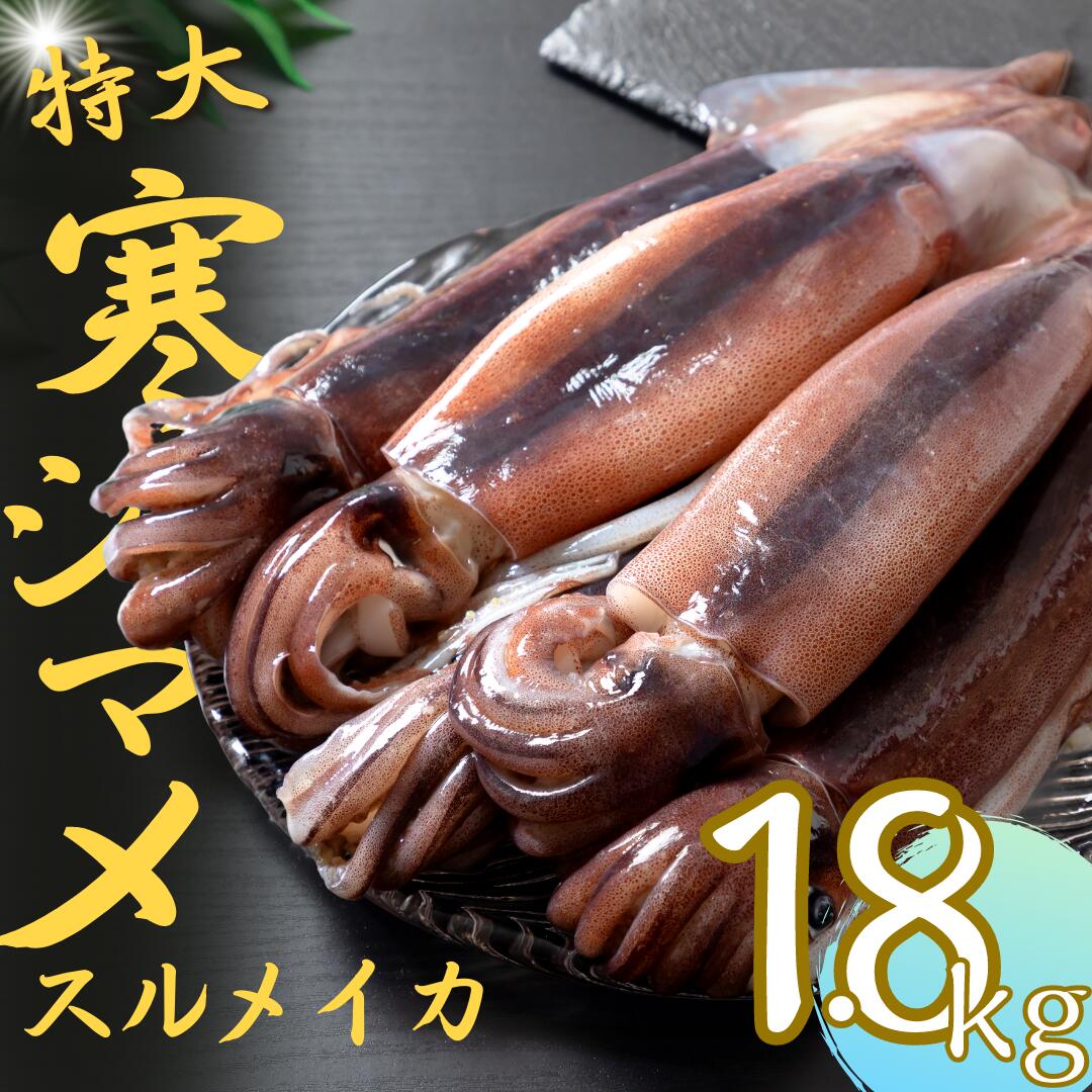 [朝どれスルメイカ丸ごと]朝どれ寒シマメ特大サイズ 丸ごと5杯セット 1.7kg〜2kg いか イカ スルメイカ CAS CAS冷凍 年末年始 お正月 お歳暮 御歳暮 ギフト