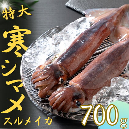 【朝どれスルメイカ丸ごと】朝どれ寒シマメ特大サイズ 丸ごと2杯セット 700g〜800g いか イカ スルメイカ CAS CAS冷凍 年末年始 お正月 お歳暮 御歳暮 ギフト