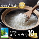 【ふるさと納税】【先行予約受付:令和7年度産! 海士町産コシヒカリ10kg】島のコシヒカリをお届け! お米 新米 精米 弁当 ごはん ご飯 こしひかり バーベキ...