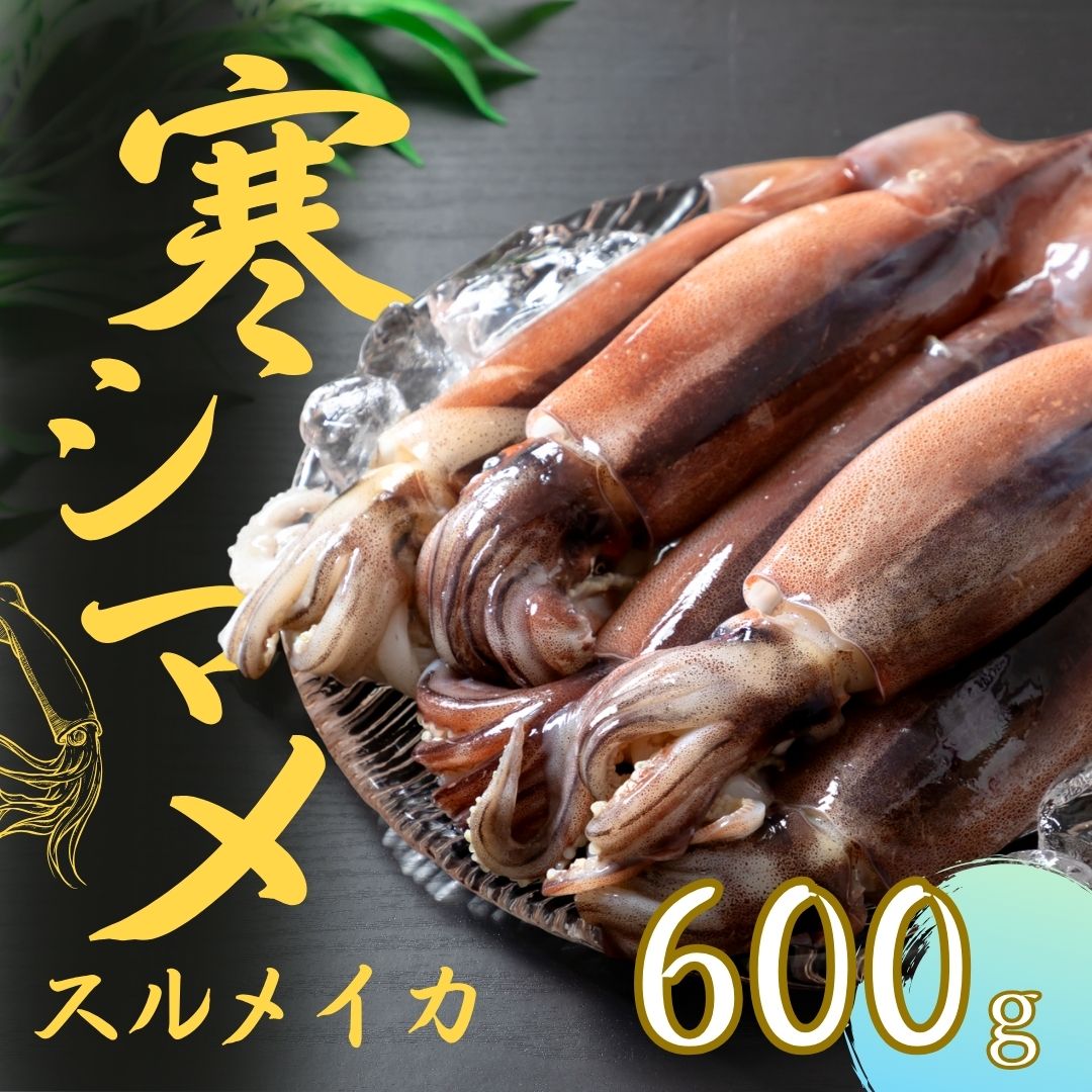 【ふるさと納税】朝どれシマメ（スルメイカ）約600g 3～4杯 いか イカ スルメイカ 朝どれシマメ 12月24日までのご注文で年内発送