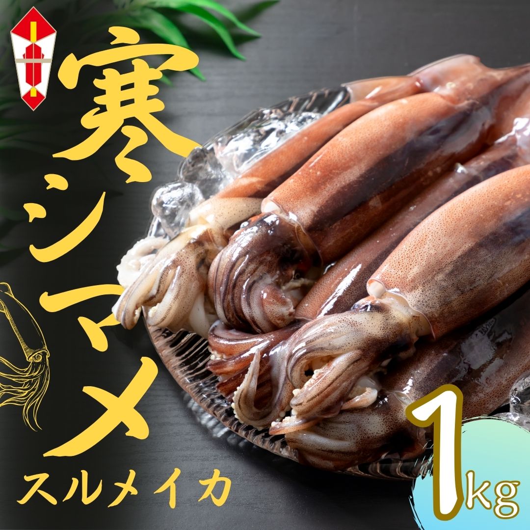 【ふるさと納税】【のし付き】朝どれシマメ（スルメイカ）約1kg 5~6杯 いか イカ スルメイカ お歳暮 年末年始 御歳暮 ギフト 12月24日までのご注文で年内発送