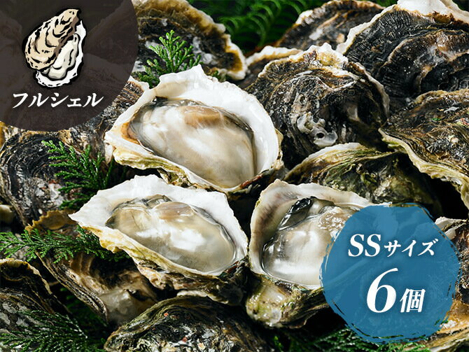 旬の岩牡蠣が人気！ 島根県海士町のふるさと納税 | ふるさと納税ガイド