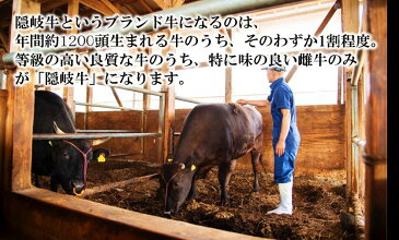 【ふるさと納税】牛肉 お肉 定期便 ロース尽くし A5 A4 黒毛和牛 隠岐牛 ロース ステーキ しゃぶしゃぶ すき焼き 400g 海士の天然塩付き 冷凍 送料無料