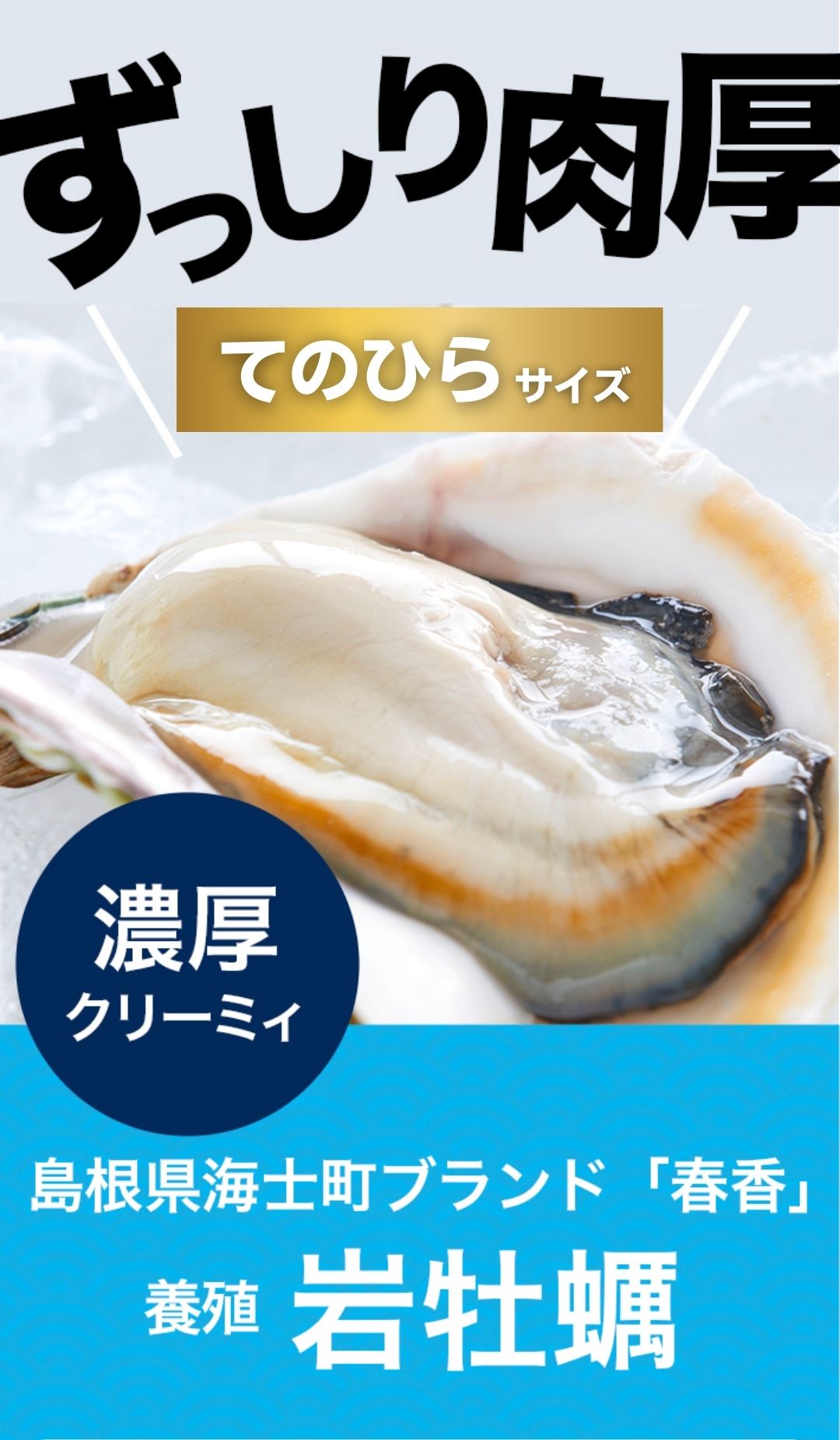 【ふるさと納税】【のし付き いわがき 殻付きSサイズ 12個】ブランドいわがき春香 岩牡蠣 生食可 冷凍 牡蛎 牡蠣 かき カキ 岩牡蠣 いわがき 冷凍 父の日 母の日 バーベキュー ギフト