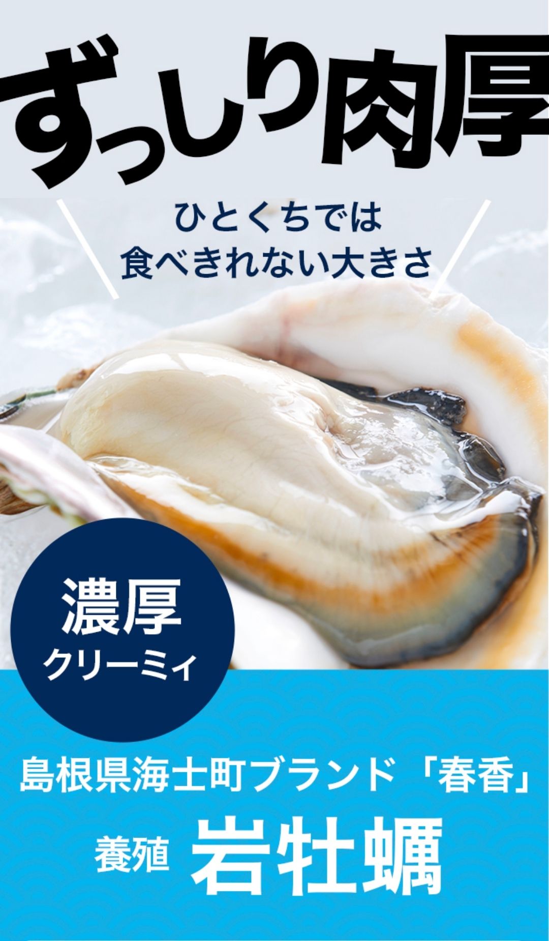 【ふるさと納税】【のし付き ブランドいわがき春香】殻付き LLサイズ 5個 岩牡蠣 生食可 新鮮クリーミー 冷凍 牡蛎 牡蠣 かき カキ 岩牡蠣 いわがき CAS CAS冷凍 年末年始 鍋 お正月 お歳暮 御歳暮 ギフト