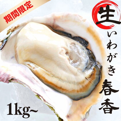 【生のいわがき春香 Sサイズ6個】期間限定 先行予約 岩牡蠣 生牡蠣 牡蠣 生食可 旬の時期だけ 母の日 父の日 バーベキュー ギフト ※順次発送