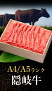 島根県海士町の画像2