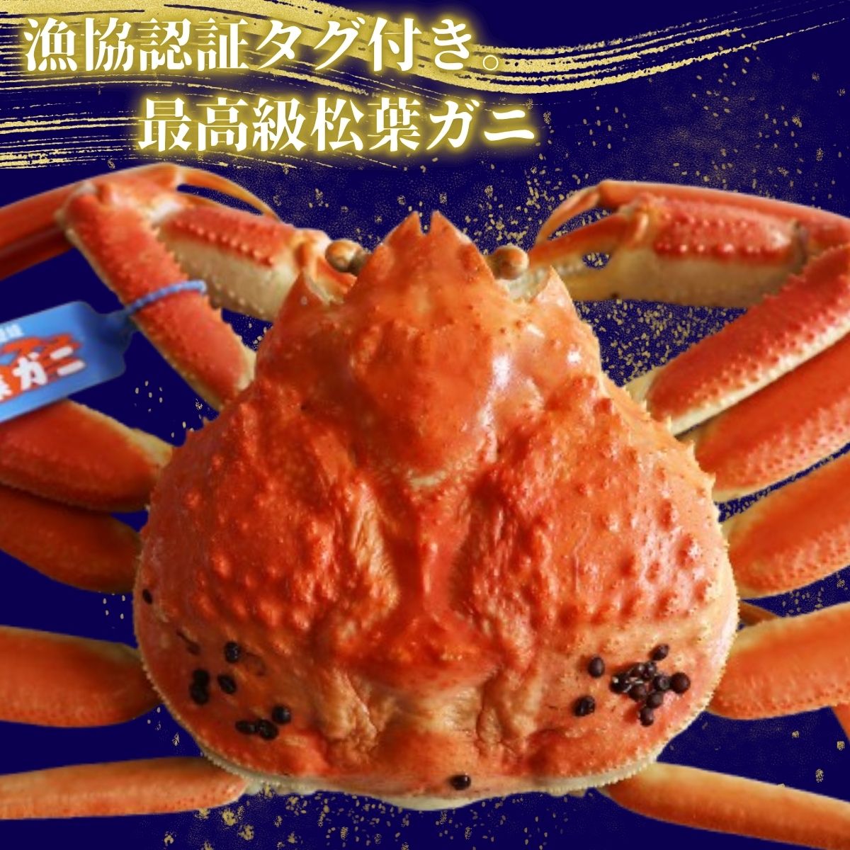 島根県西ノ島町の画像2