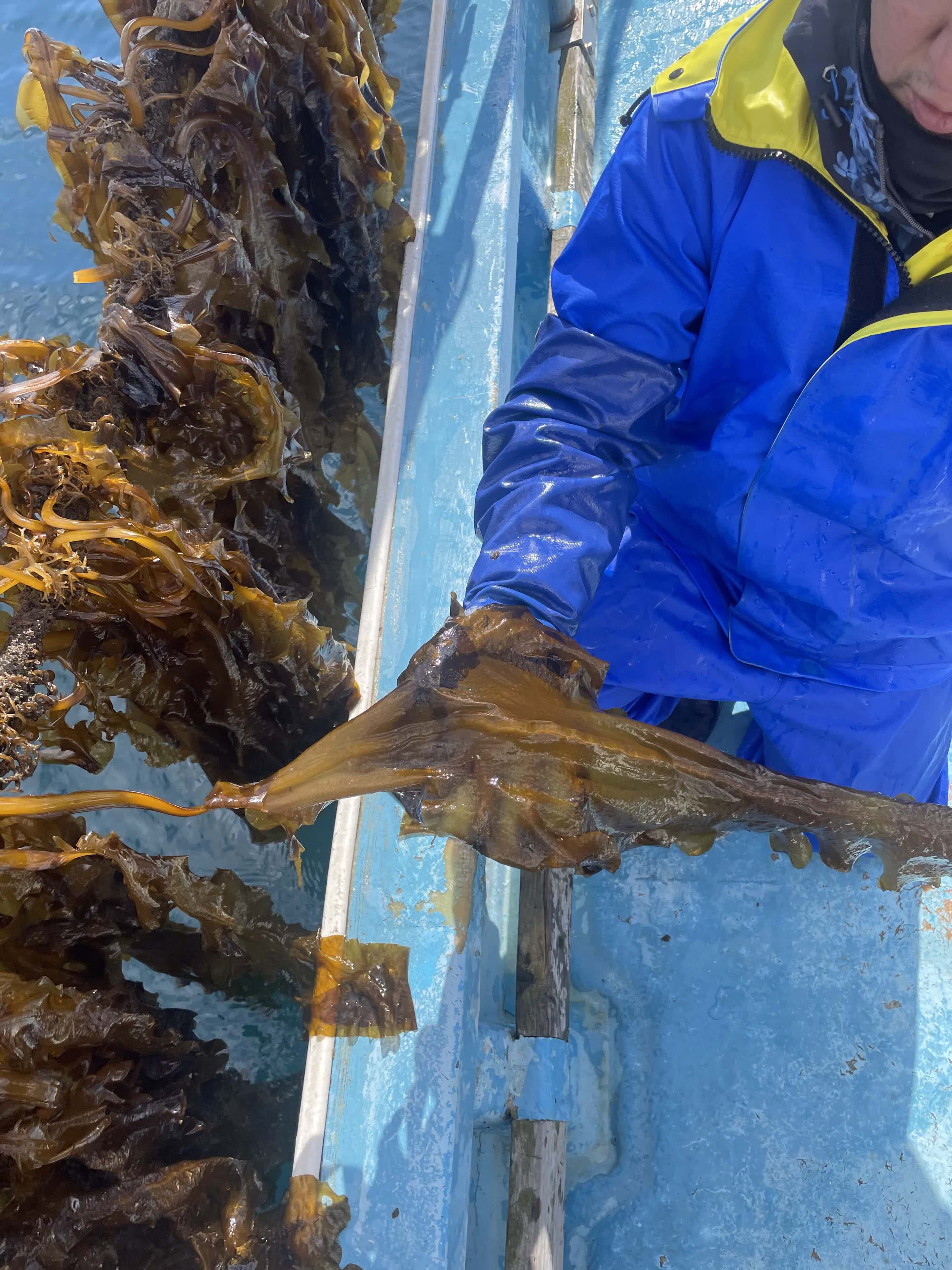 島根県西ノ島町の画像2
